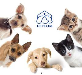 宠物救助爆料怎么做视频,如何制作引人关注的视频内容  第3张